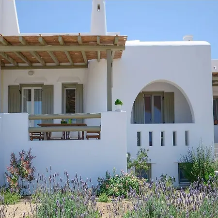 Aerides * Agios Arsenios