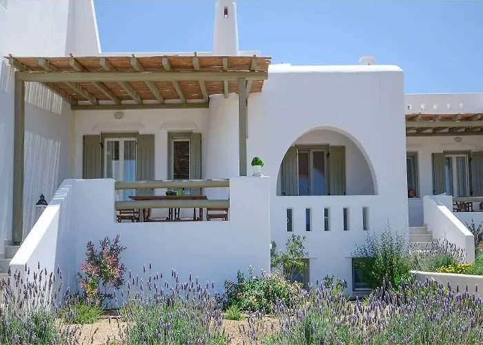 Aerides * Agios Arsenios